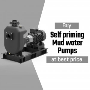 Submersible Pump