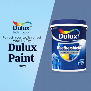 Paints