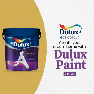 Paints