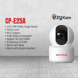 Security Surveillance