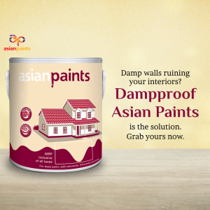 Paints
