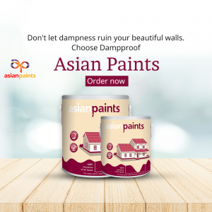 Paints