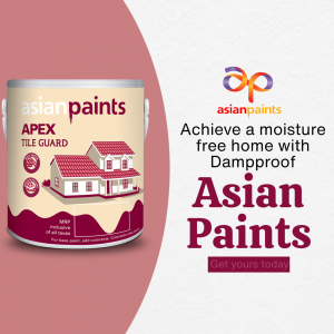 Paints
