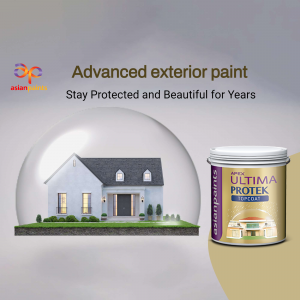 Paints