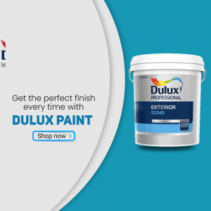 Paints
