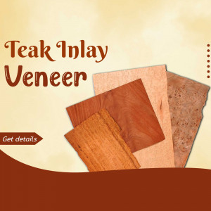 Plywood and Laminate