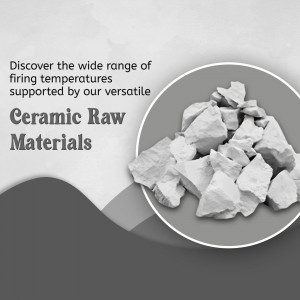 Ceramic