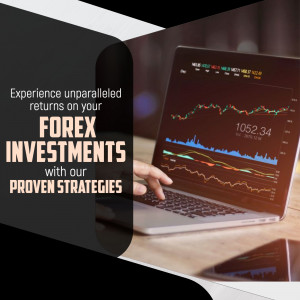 Investment
