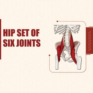 Medical Equipment
