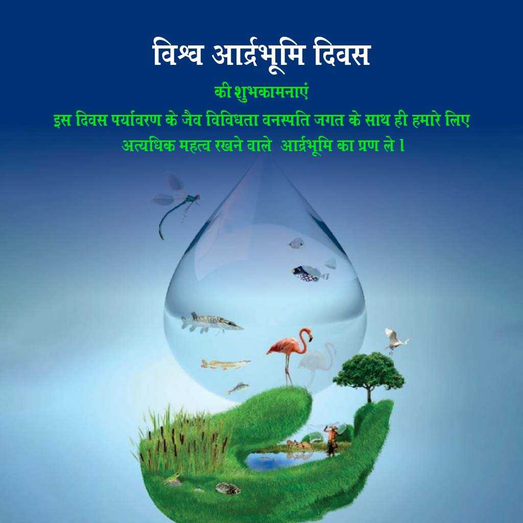 World Wetlands Day