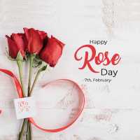 Rose Day