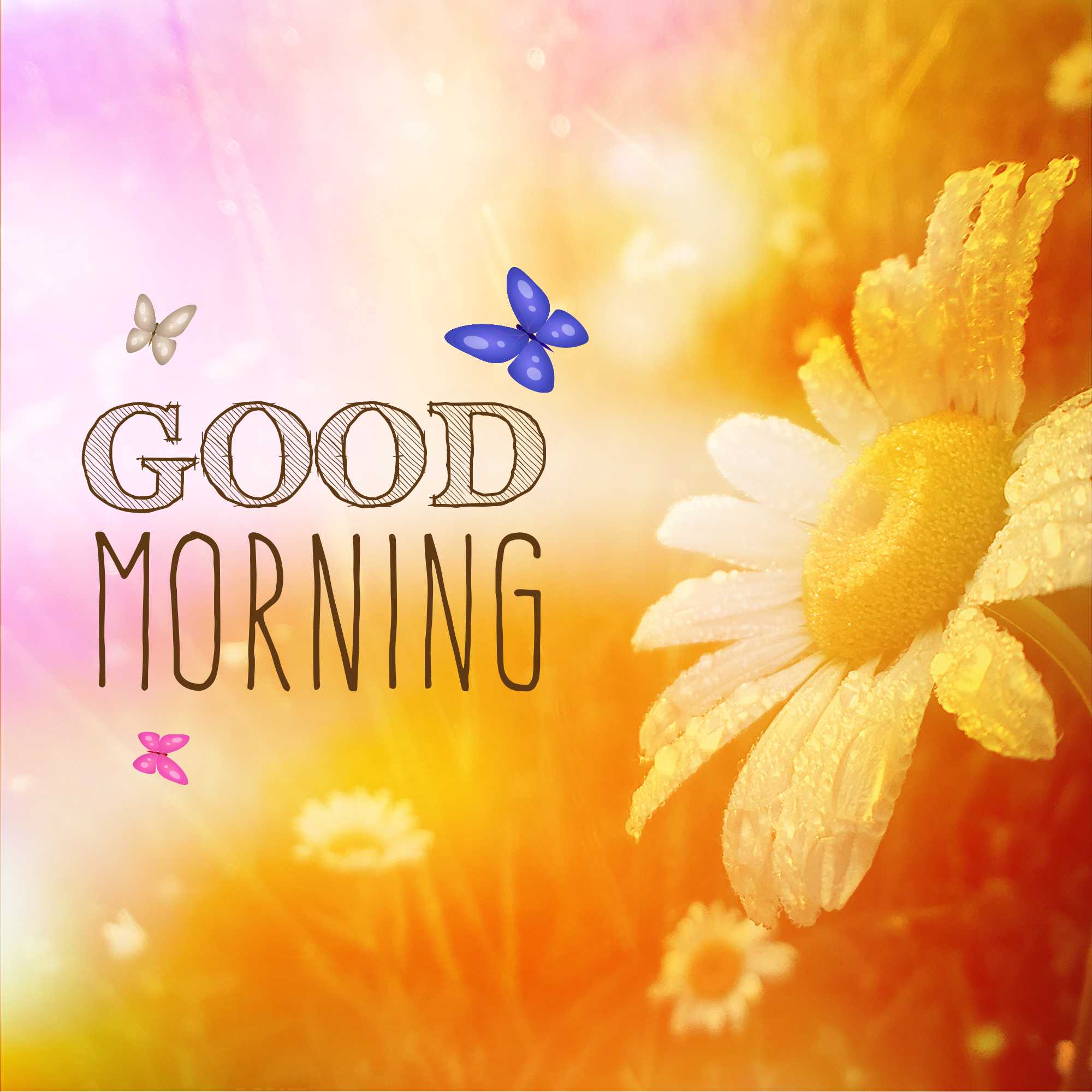 Good Morning