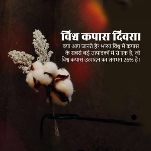 World Cotton Day