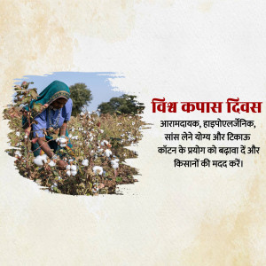 World Cotton Day