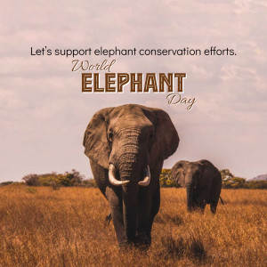World Elephant Day