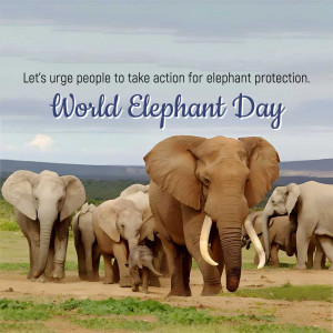 World Elephant Day