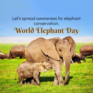 World Elephant Day
