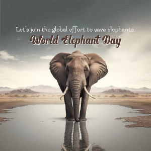 World Elephant Day