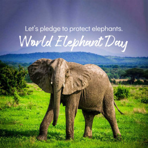 World Elephant Day