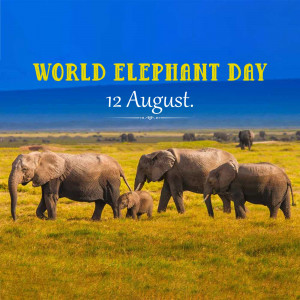 World Elephant Day