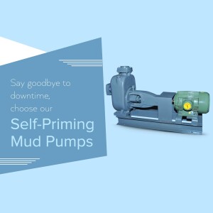 Submersible Pump