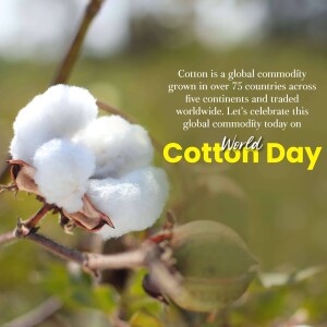World Cotton Day