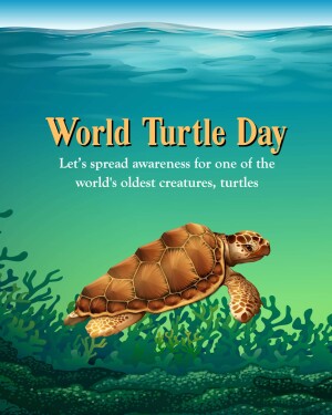 World Turtle Day