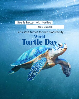 World Turtle Day