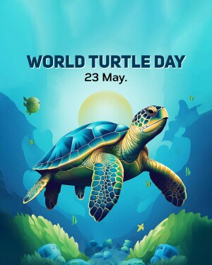 World Turtle Day