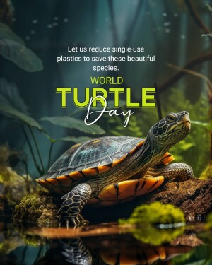 World Turtle Day