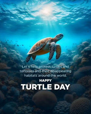 World Turtle Day