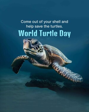 World Turtle Day