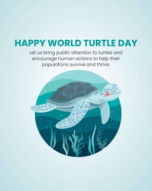 World Turtle Day
