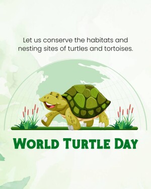 World Turtle Day