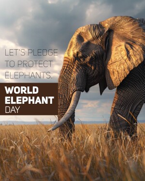 World Elephant Day