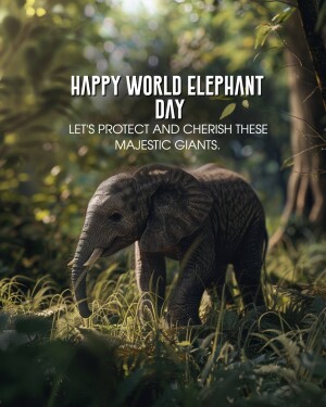 World Elephant Day