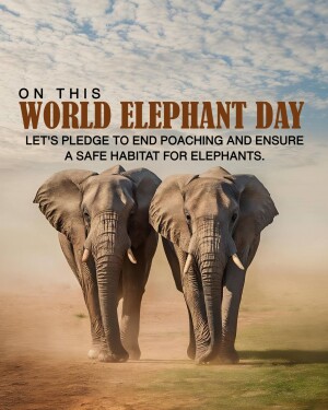 World Elephant Day