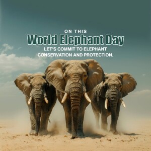 World Elephant Day