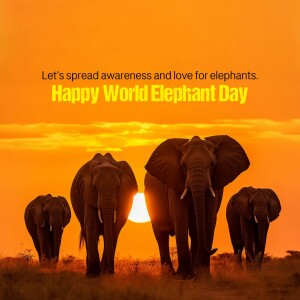 World Elephant Day