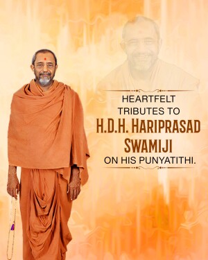 H.D.H. Hariprasad Swami Maharaj Punyatithi