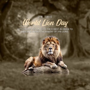 World Lion Day