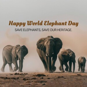 World Elephant Day