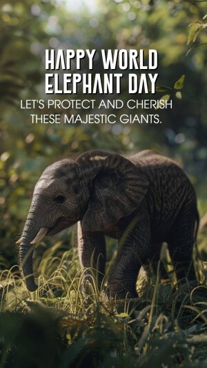 World Elephant Day