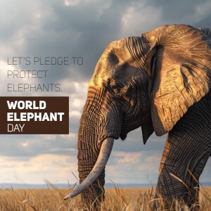 World Elephant Day
