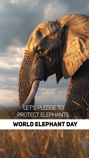 World Elephant Day