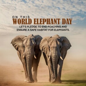 World Elephant Day