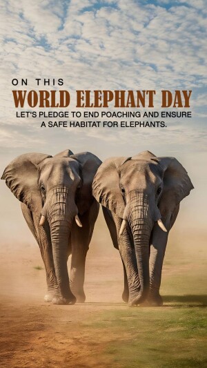 World Elephant Day